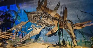 Plesiosaur dinosaur 