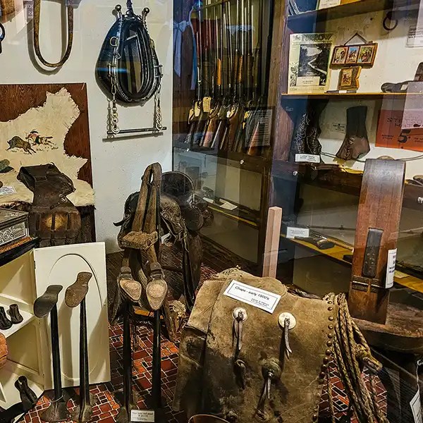 Saddle, harness, rifles, and more. 
