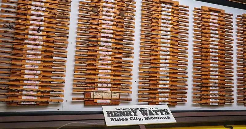 Various kinds of barbed wire mounted on a display