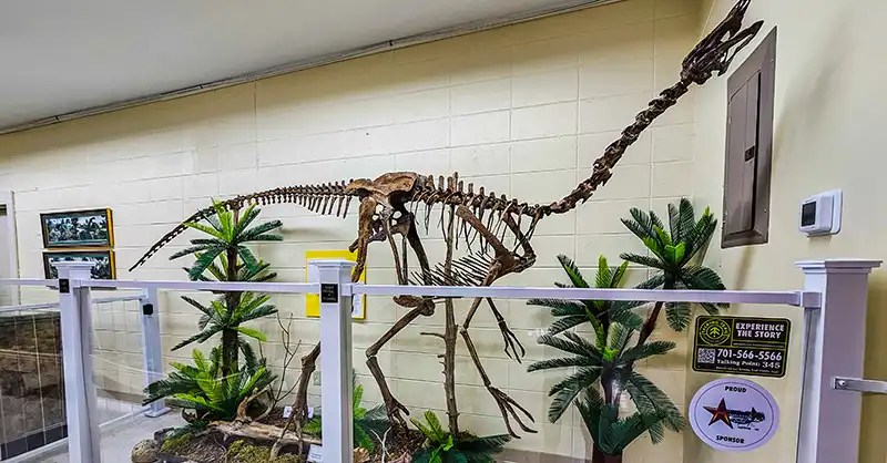 Margie the Struthiomimus. 