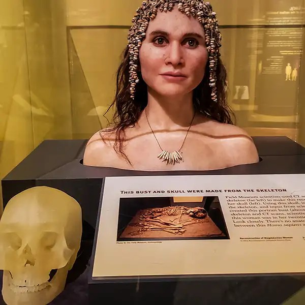 modern human, Magdalenian Woman skull and recreated bust