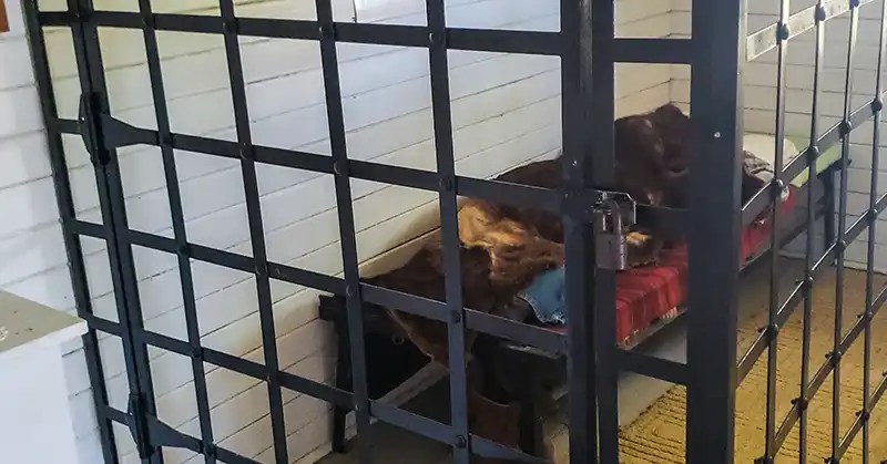 Jail cell in the R.N.W.M. Police building in Heritage Village in Weyburn, Saskatchewan