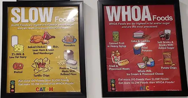 Charts of different foods and their importance in your diet