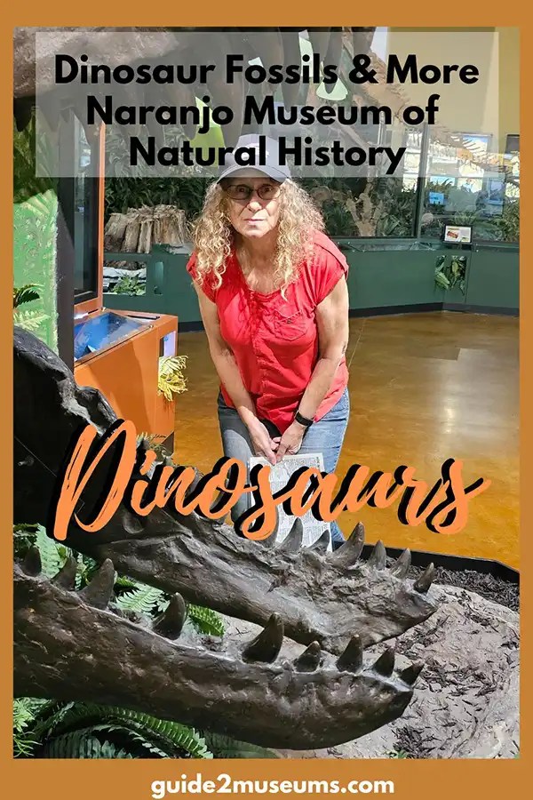 Dinosaur fossils - in the mouth of a T-Rex