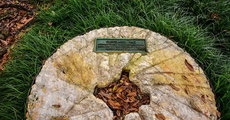 Grover Cleveland Oak plaque. 