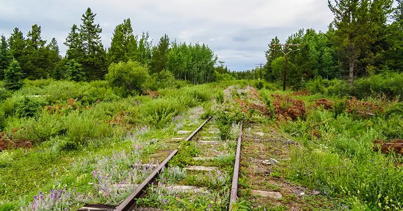 Abandoned train tracks at Robinson Flag Station near Whitehorse, Yukon. 