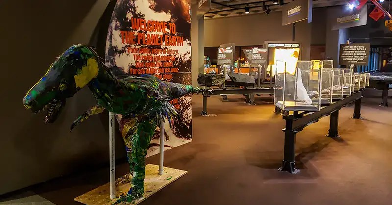 History of planet Earth - fossil displays. 