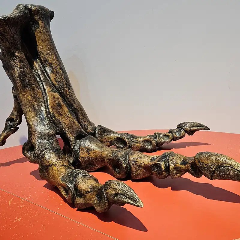 Metatarsal of the world's smallest and youngest T.Rex. 