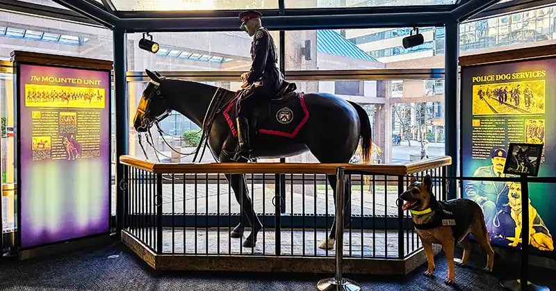 Toronto Mounted Police Unit