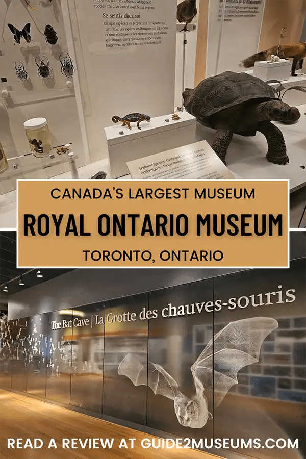 Ancient turtles and fossils, along with the Bat Cave at the Royal Ontario Museum in Toronto, Ontario.