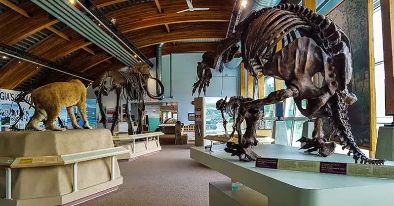 Amazing Giant Bison, Beaver, Mammoths & More: Yukon Beringia Museum in&nbsp;Whitehorse