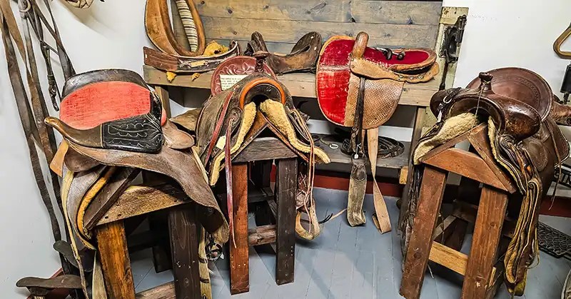 Vintage saddles
