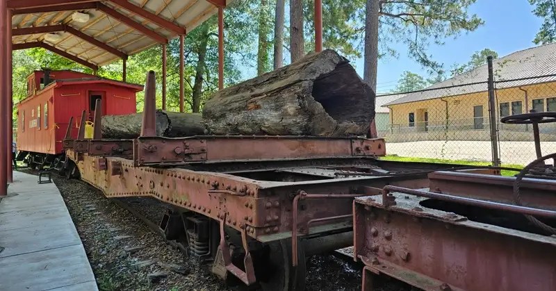 Train caboose and flatbeds loaded with lumber.