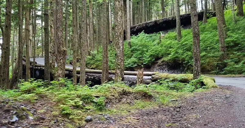 Corduroy Road on Thunder Mountain.